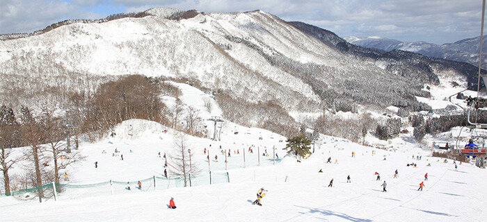 ハチ 北 高原 スキー 場