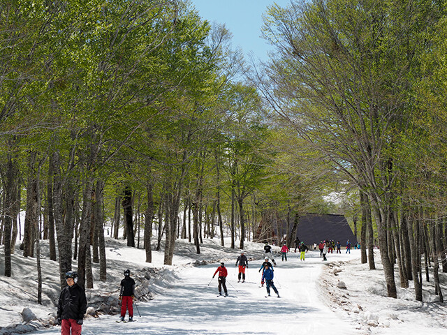 奥只見丸山スキー場