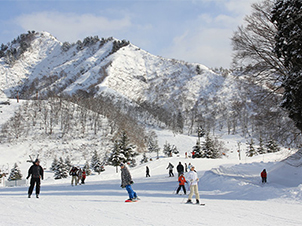 湯沢中里スキー場