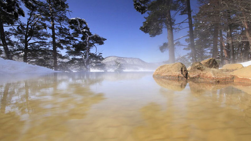 記事664楽天 裏磐梯レイクリゾート 五色の森 温泉