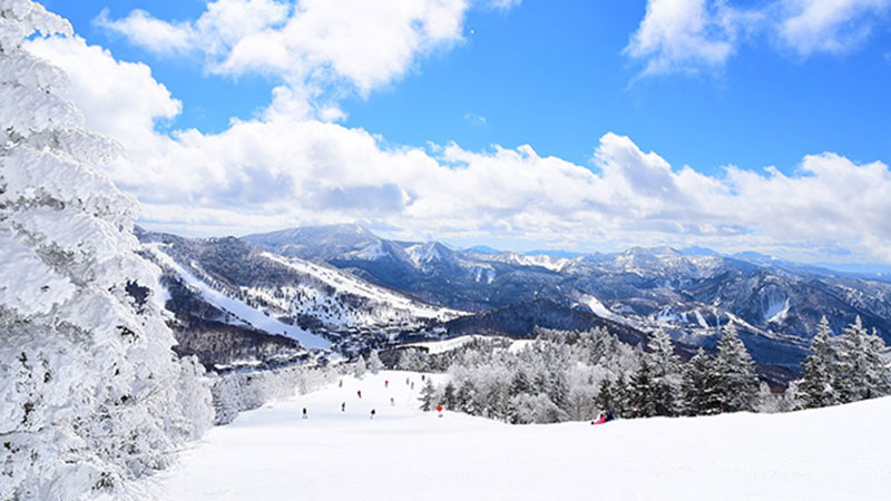 志賀高原　焼額山スキー場