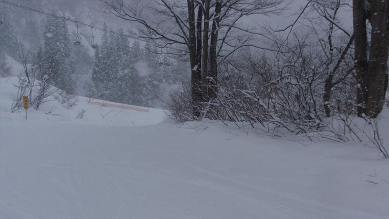 有名スキー場を攻略せよ! 湯沢編 上越国際 初中級者編