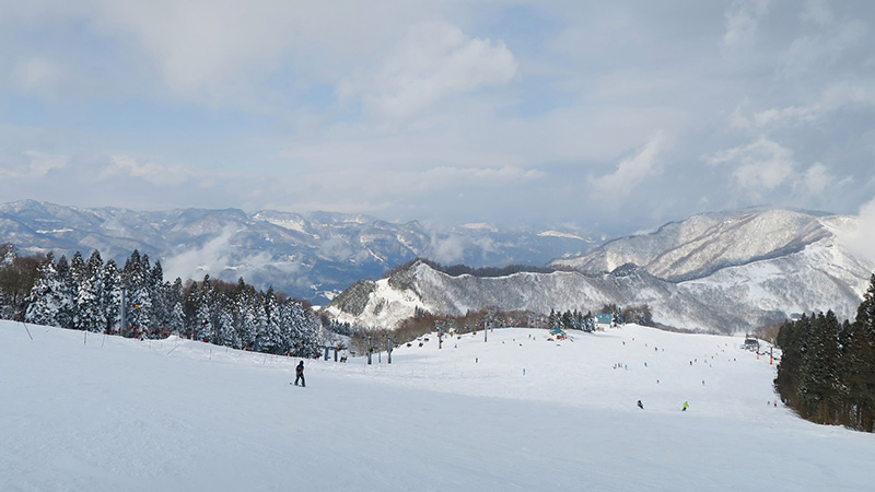ハチ・ハチ北スキー場
