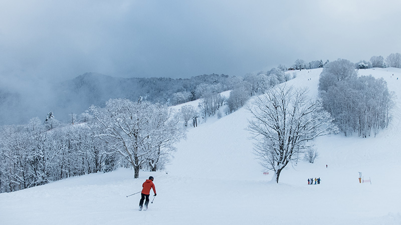飛騨ほおのき平スキー場