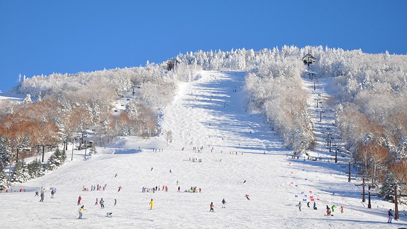 長野県北部の6スキー場が1枚で！ 共通リフトシーズン券「NAGANO6