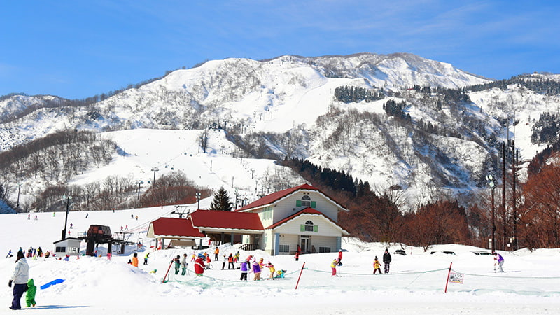 イオックスアローザ