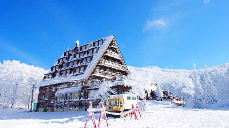 記事747　楽天　forest inn　SANGORO