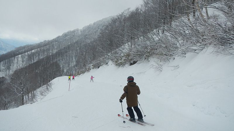 有名スキー場を攻略せよ！ 長野　白馬編　白馬コルチナ　初中級者編