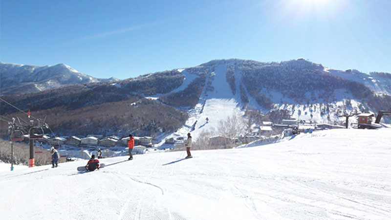 志賀高原　中央エリア