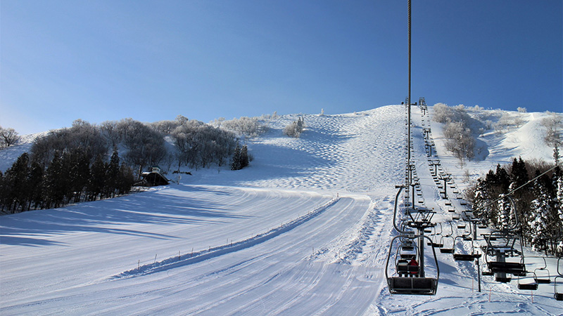 ハチ高原スキー場