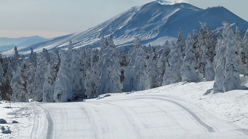 パルコールつま恋リゾート