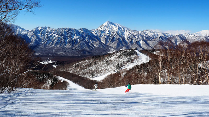 スキー natur スキー natur スキー natur スキー natur スキー natur スキー natur