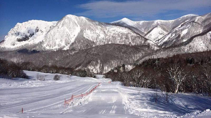 黒伏高原 ジャングルジャングル