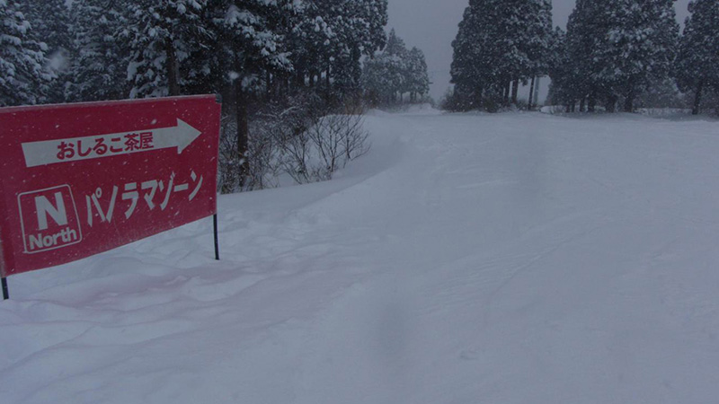 有名スキー場を攻略せよ! 湯沢編 上越国際 初中級者編