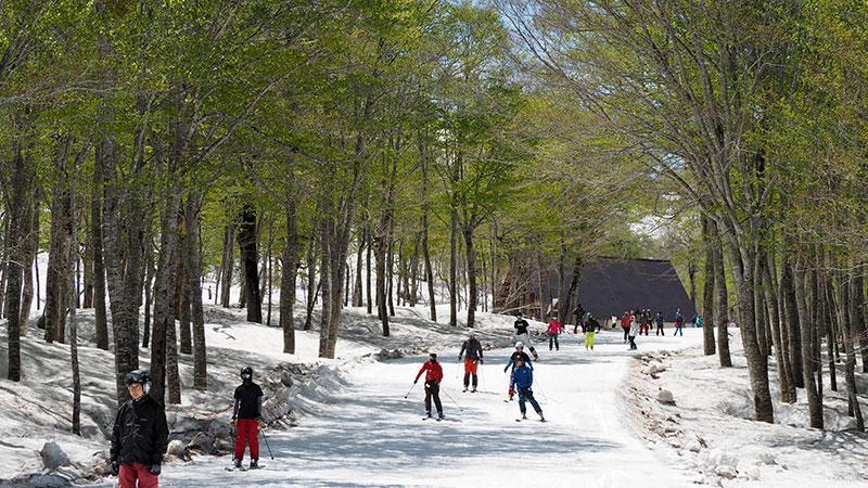 奥只見丸山スキー場