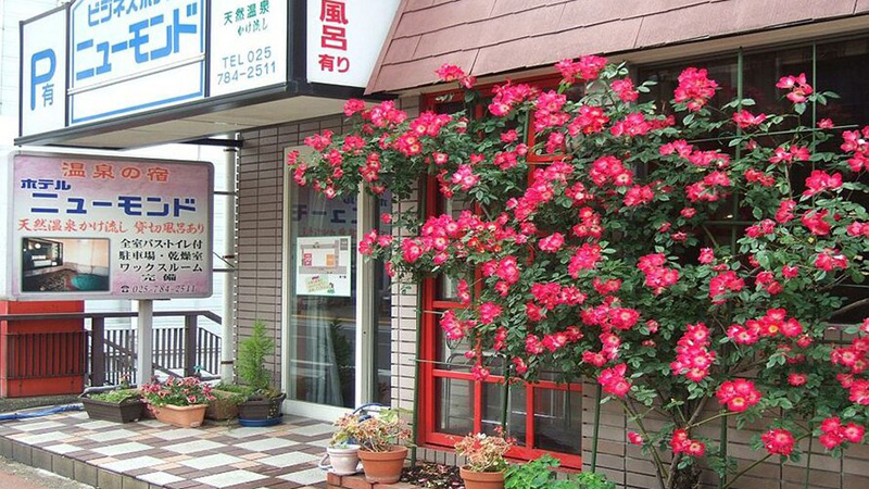 記事744 楽天 越後湯沢 ホテルニューモンド