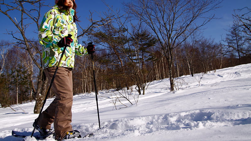 スノーシュー