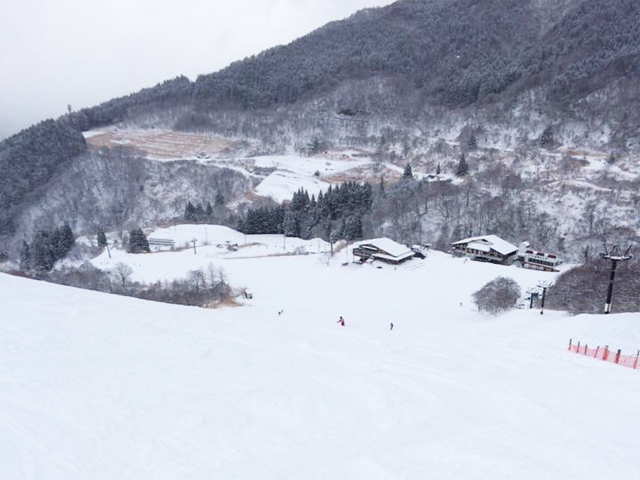 氷ノ山国際スキー場