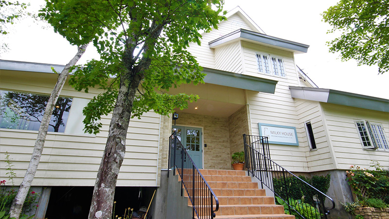 記事754　楽天　ミルキーハウス