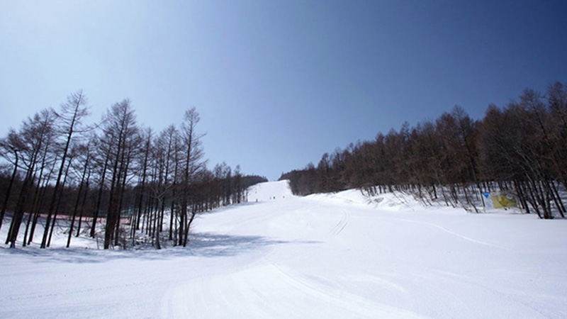 グランディ羽鳥湖スノーリゾート
