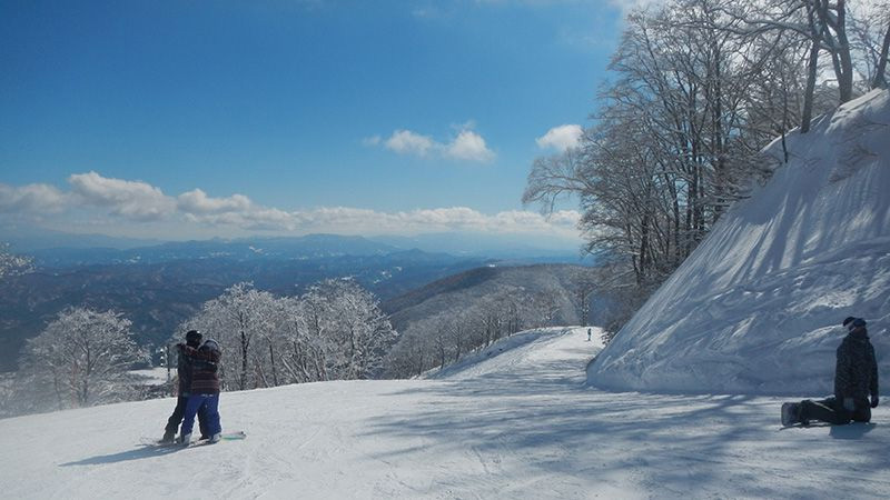有名スキー場を攻略せよ！ 長野　白馬編　白馬五竜　初中級者編