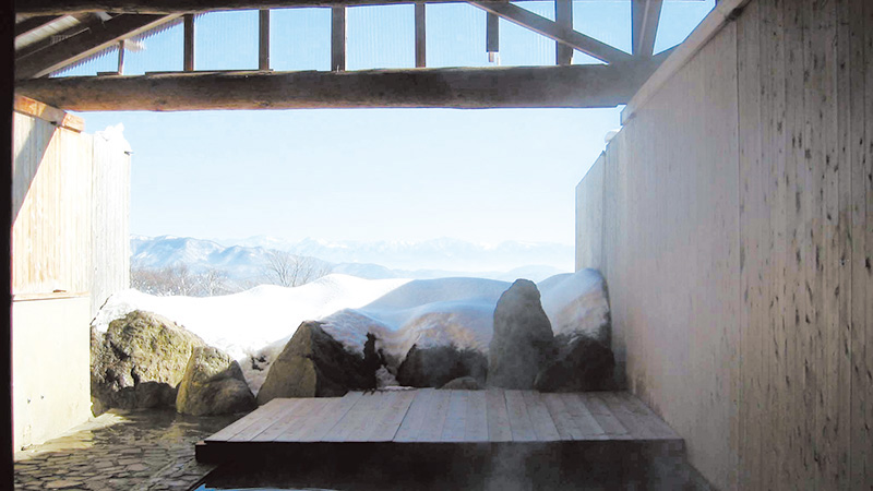 アルペンブリックバイキング