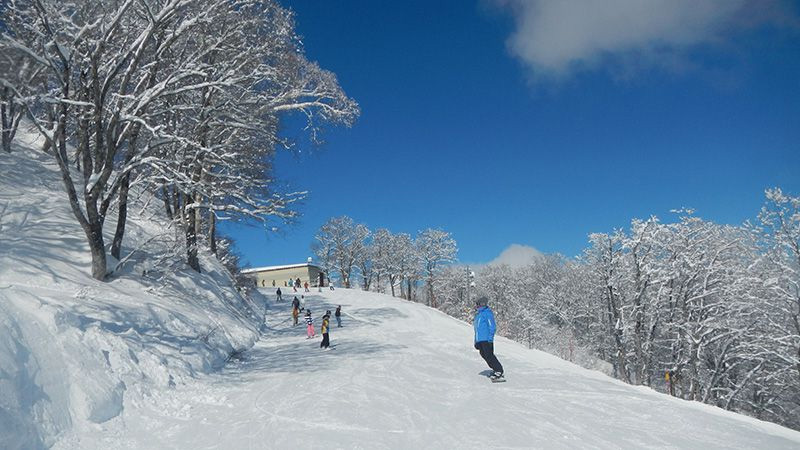 有名スキー場を攻略せよ! 長野 白馬編 白馬五竜 初中級者編