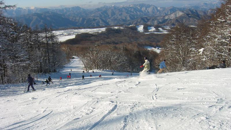 エーデルワイススキーリゾート 格安リフト券 割引券｜スキー市場