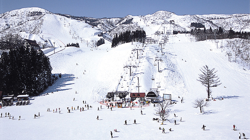 showさん購入予定上越国際スキー場レンタル券 4枚 上越国際スキー場 格安リフト券 割引券｜スキー市場