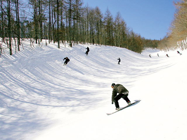 グランディ羽鳥湖スキーリゾート 格安リフト券 割引券｜スキー市場