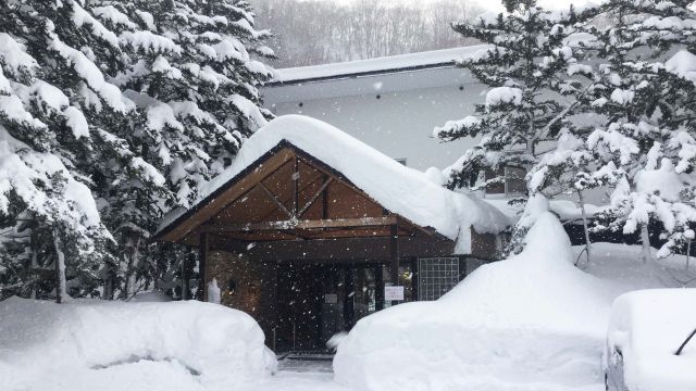 風木立の川辺　紫明館