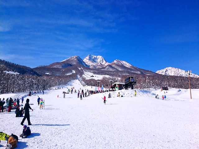 池の平温泉アルペンブリックスキー場